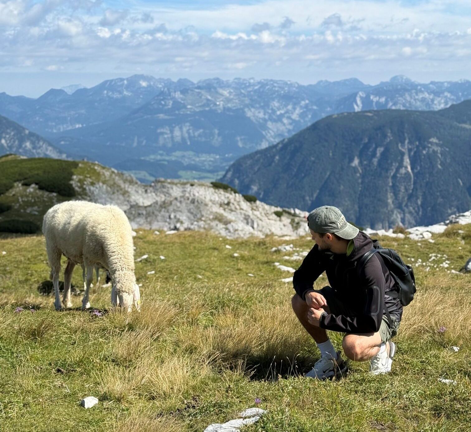 Energie svobody e1763027936499 | Domácnost - Chytrá energie